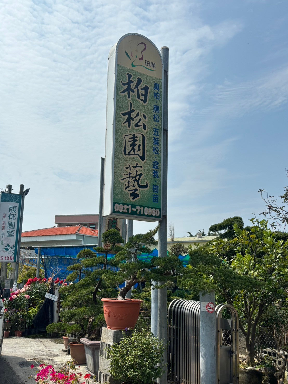 アガベ・シュリンプ台湾仕入旅 2日目