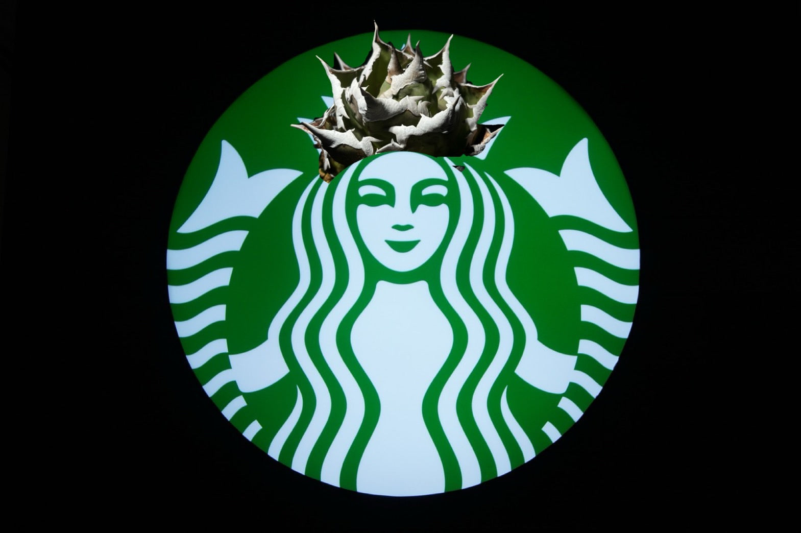 アガベ・シュリンプ台湾仕入旅 2日目 日本男児と素晴らしき台湾!!