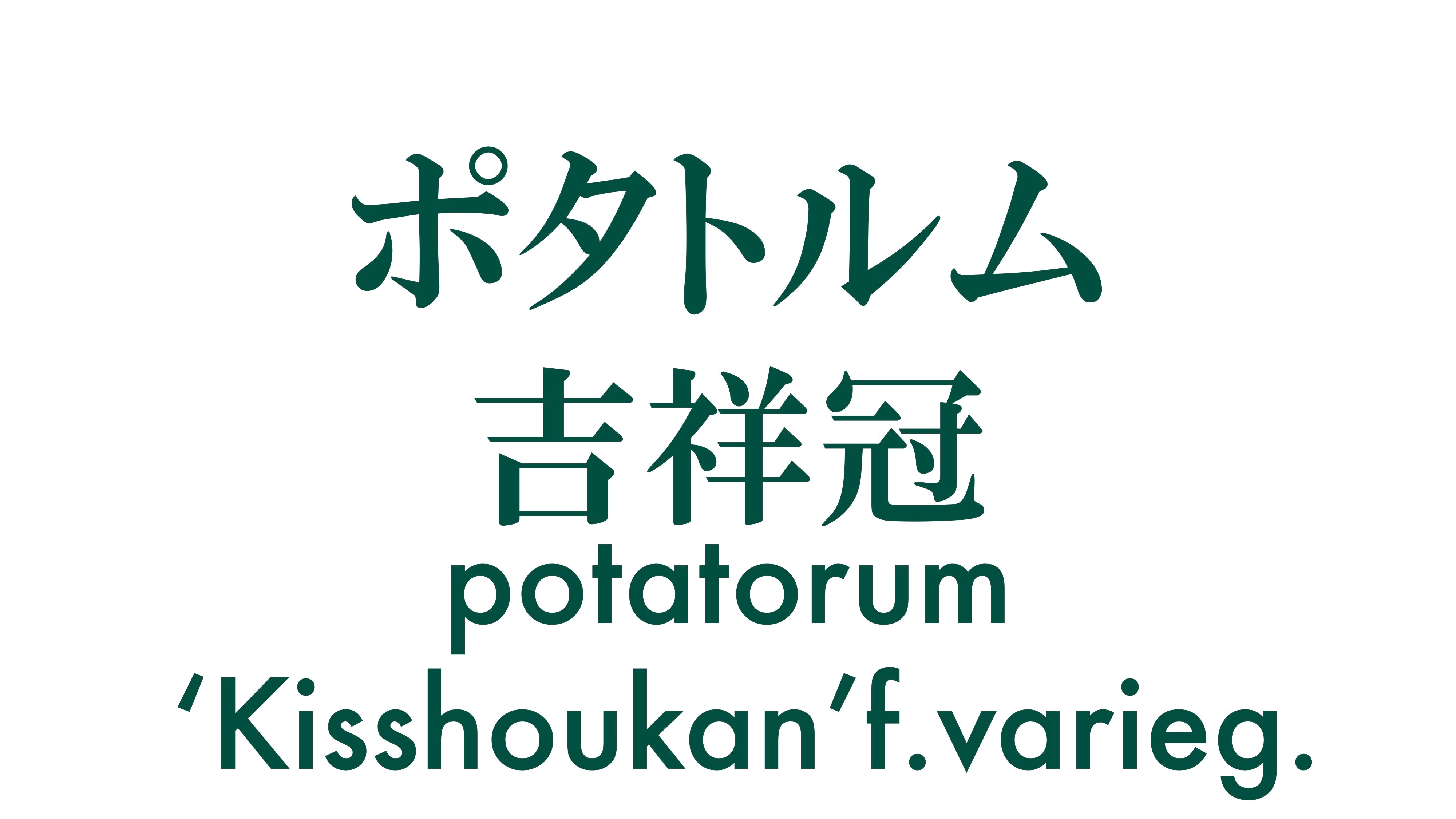 ポタトラム 吉祥冠