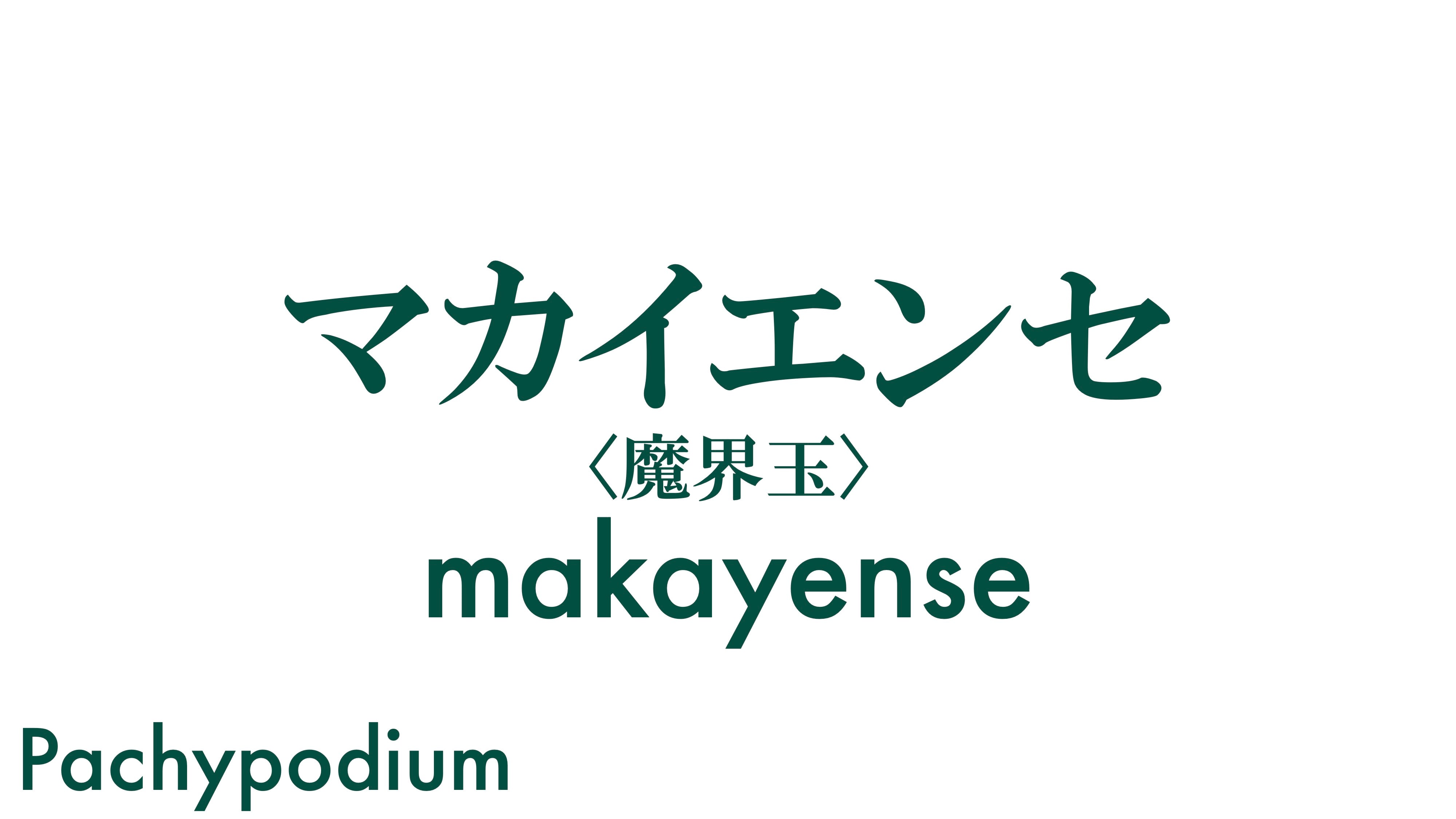 マカイエンセ
