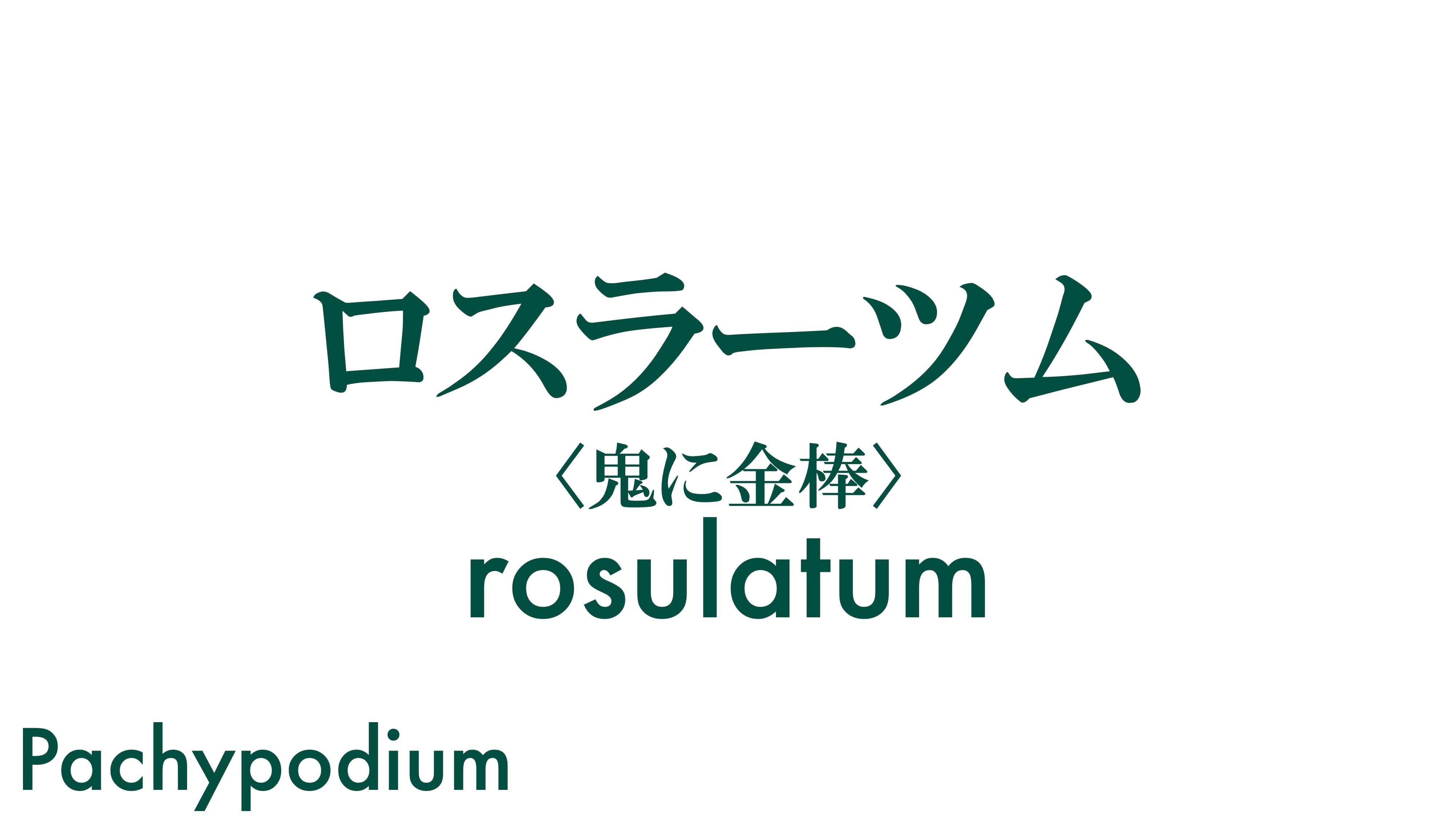 ロスラーツム
