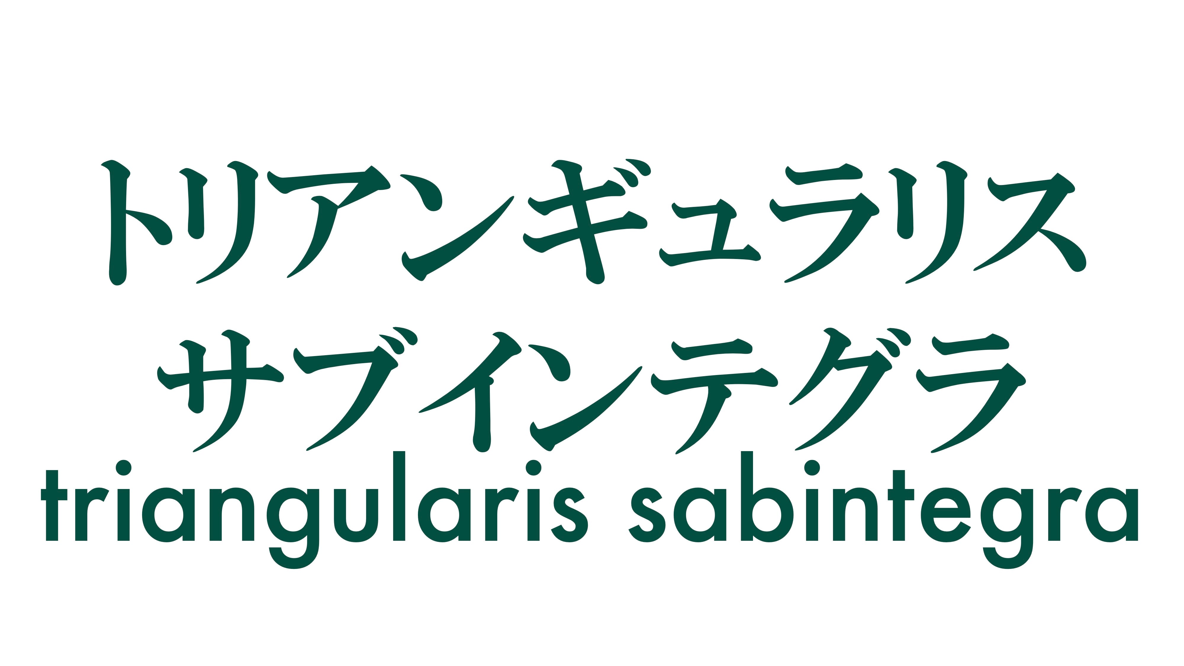 トリアンギュラリス サブインテグラ