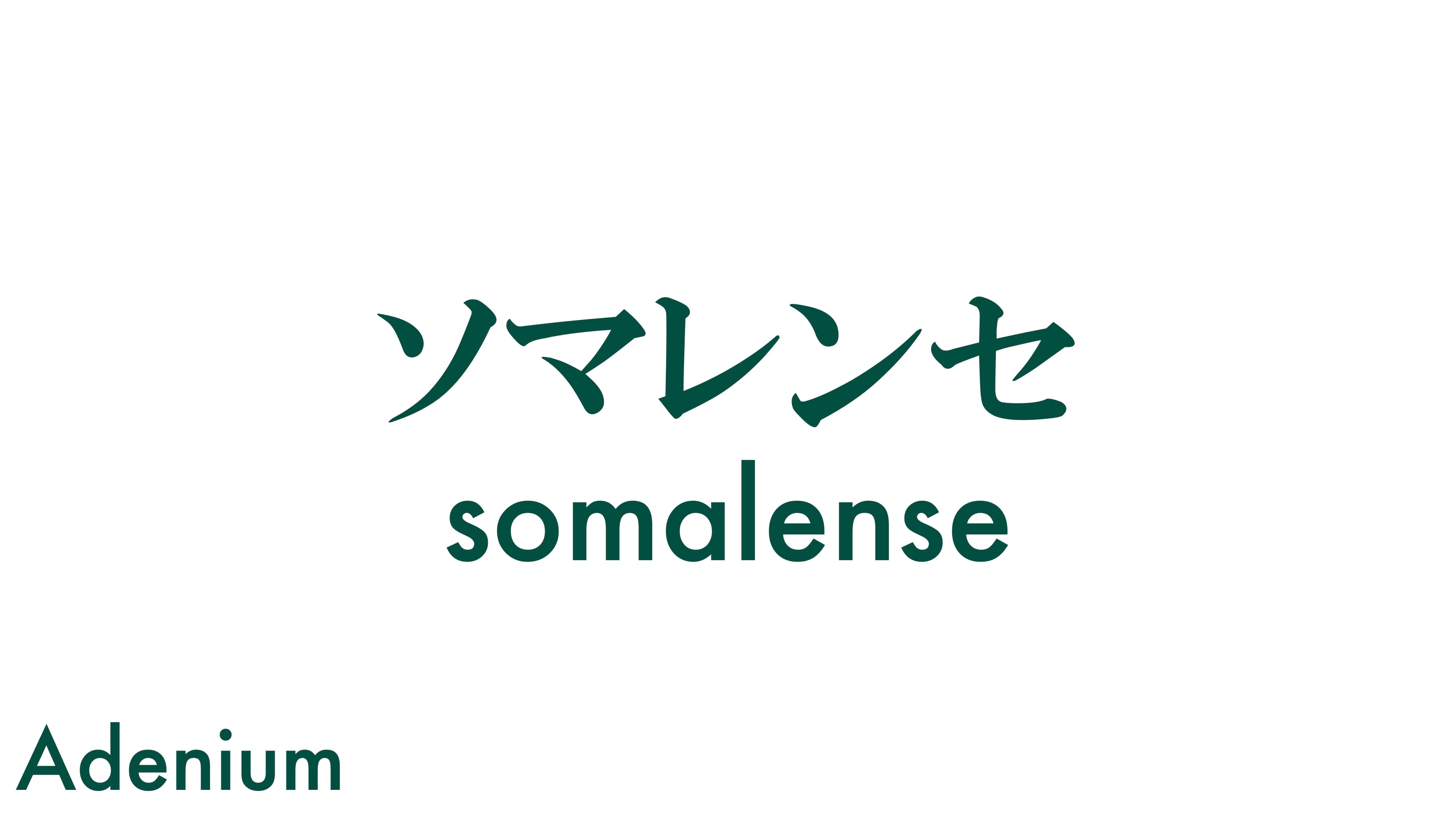 ソマレンセ