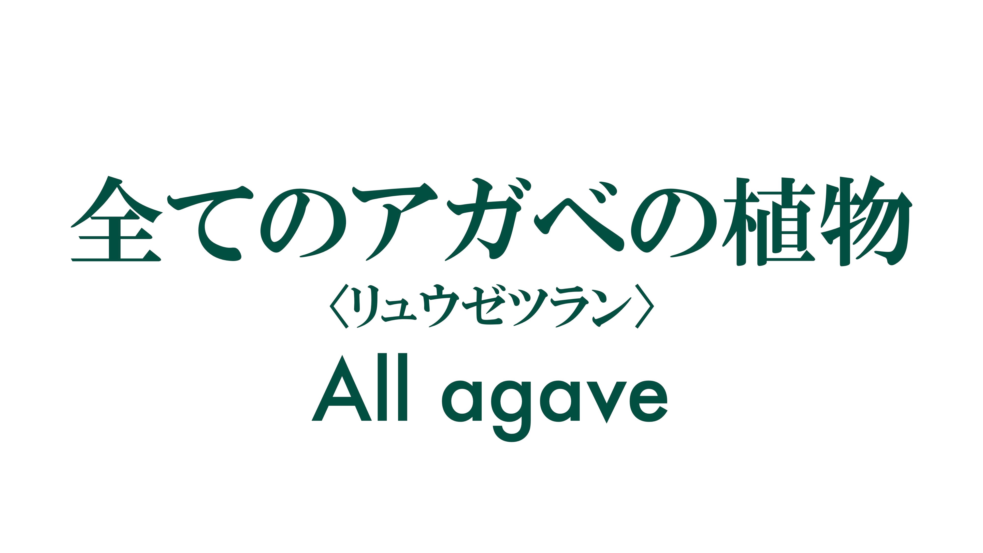 全てのアガベ科の植物