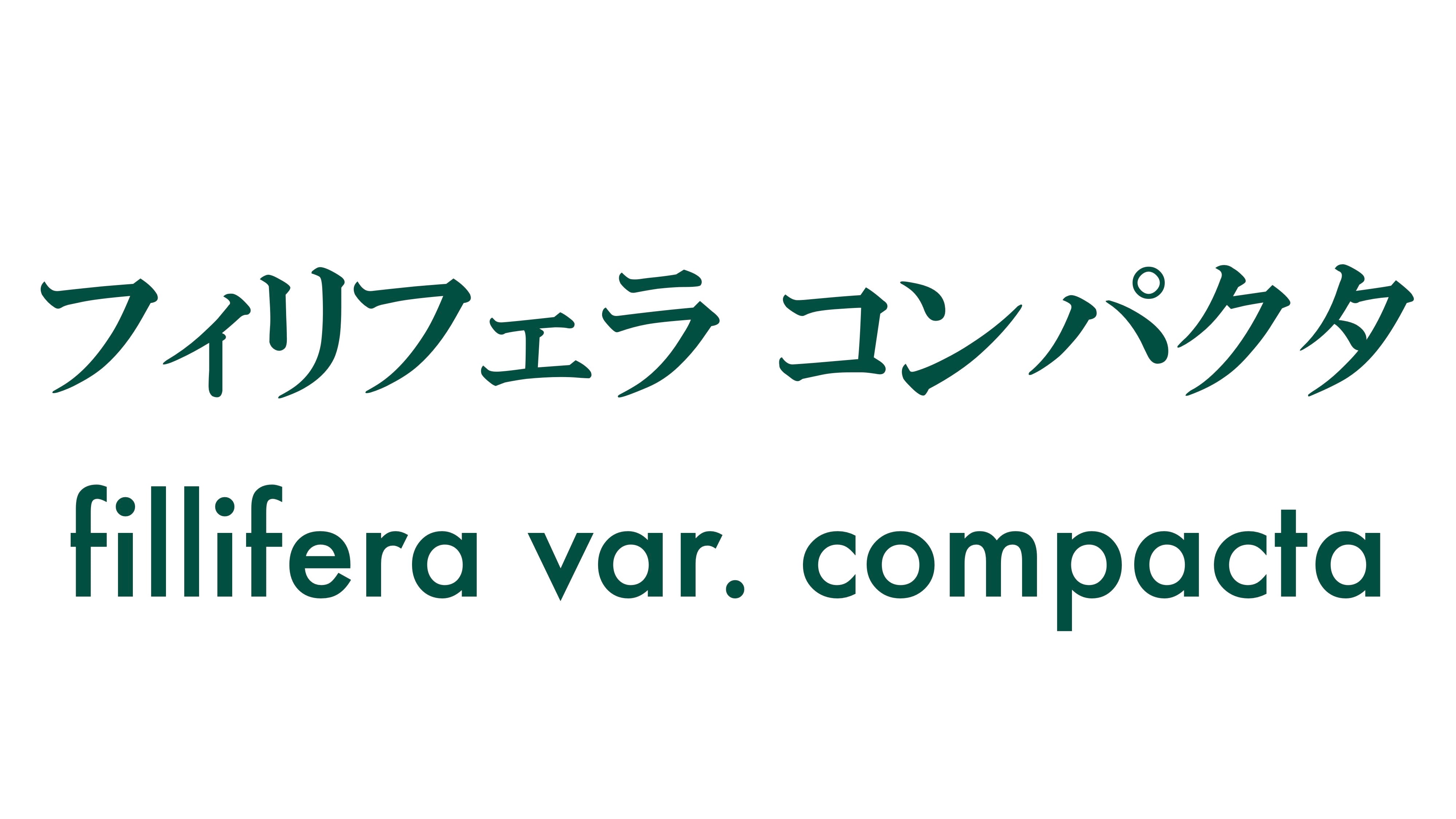 フェリラコンパクタ