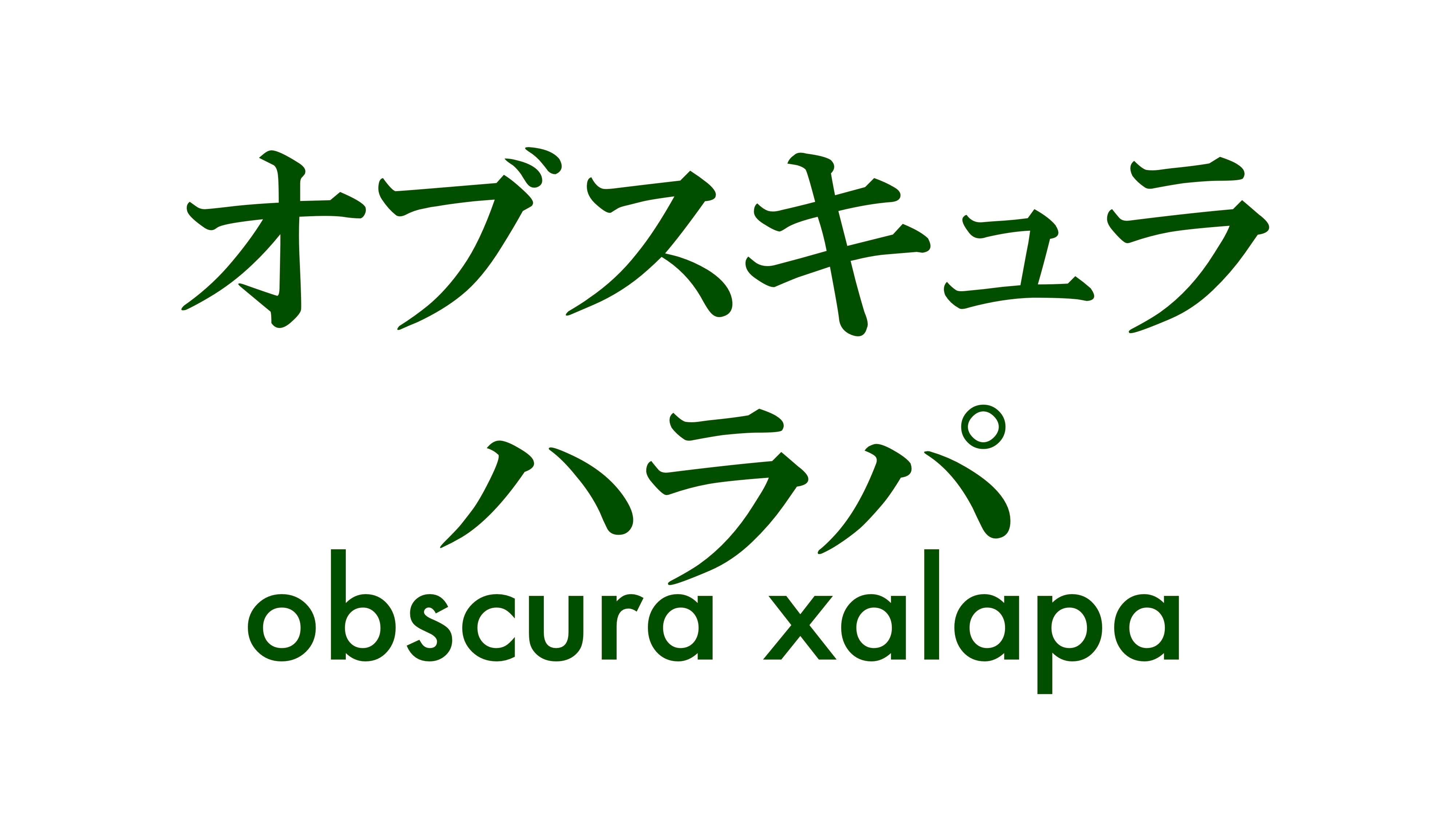 オブスキュラ ハラパ