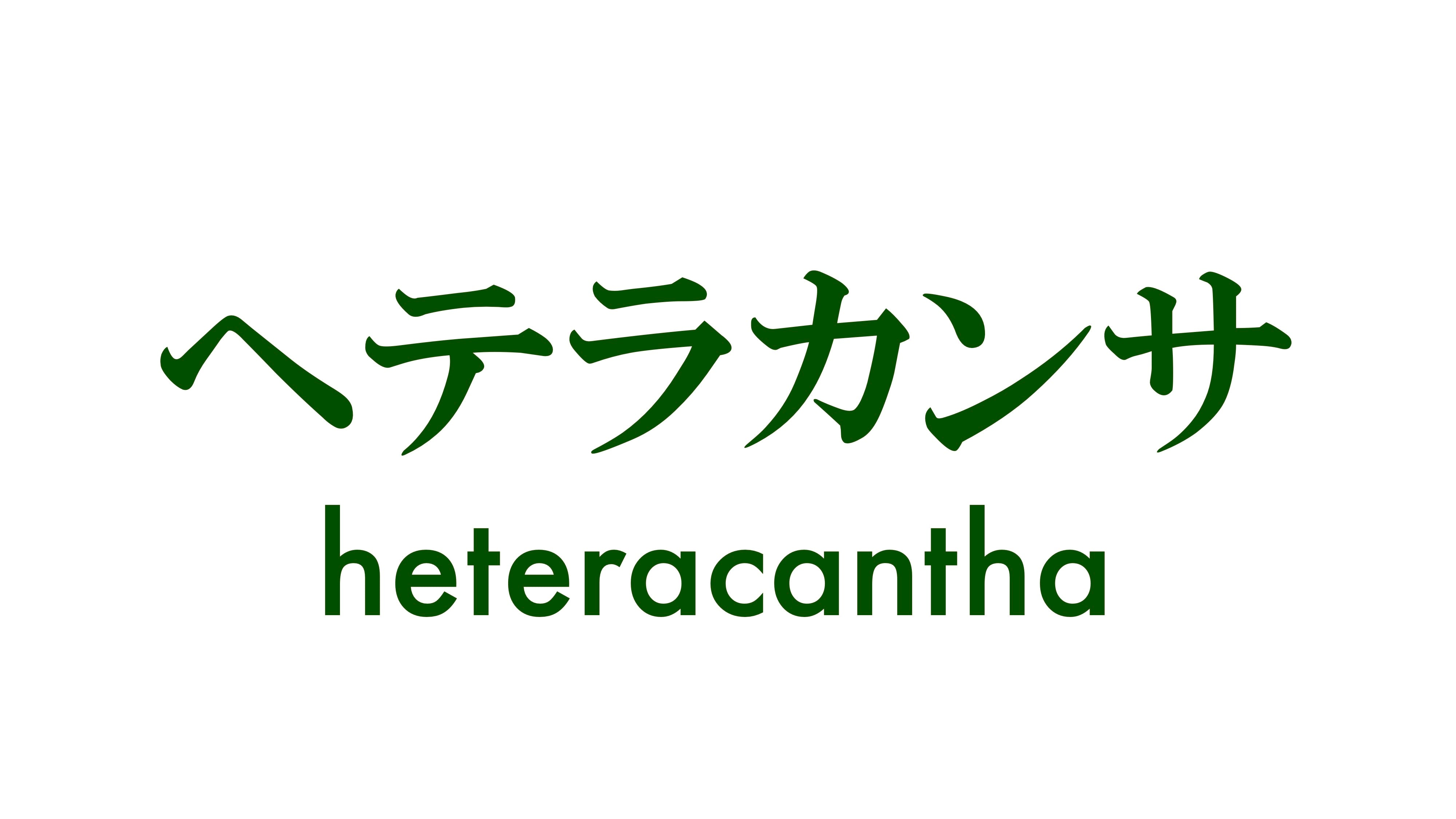 ヘテラカンサ