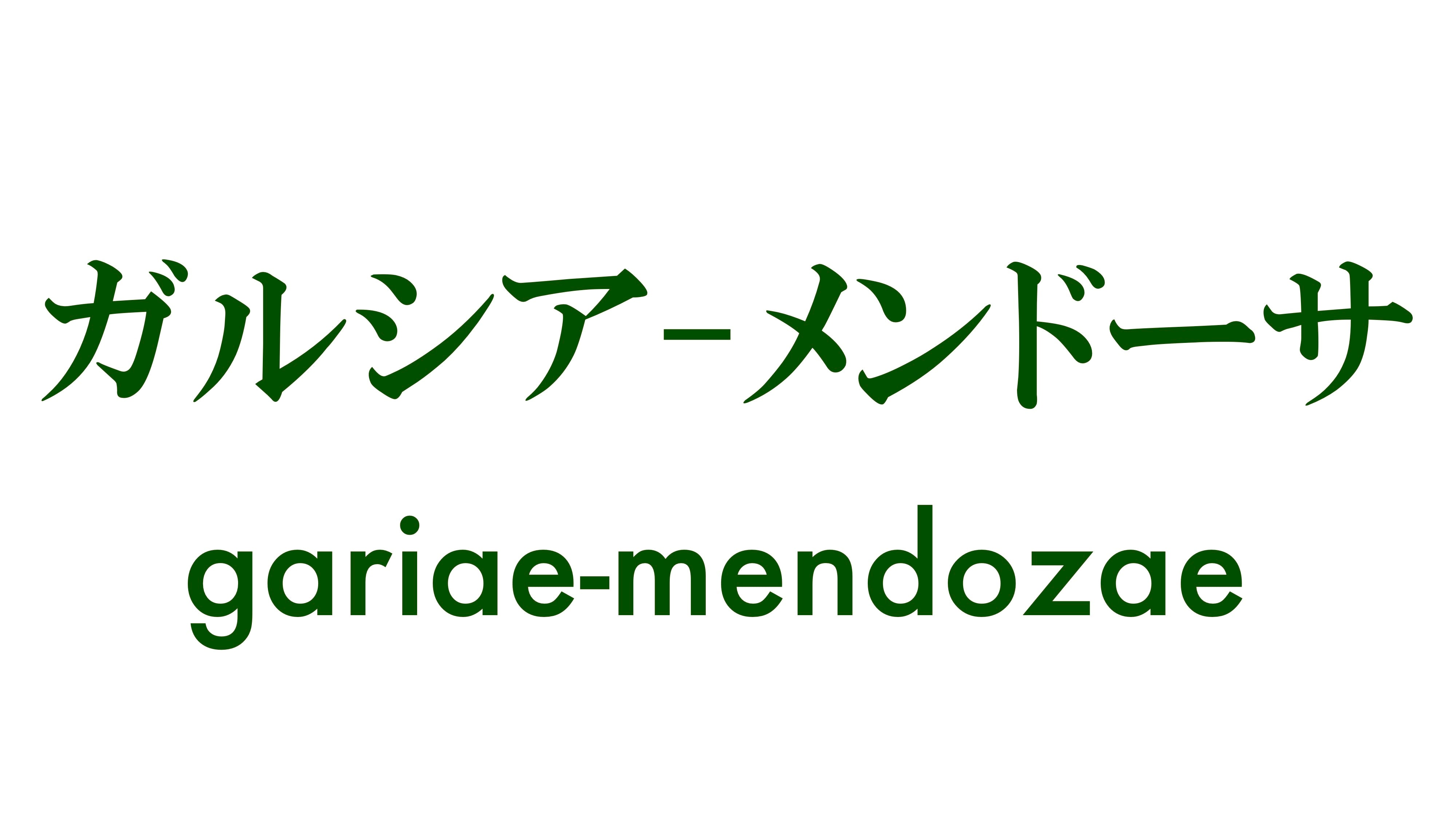 ガルシアメンドーサ